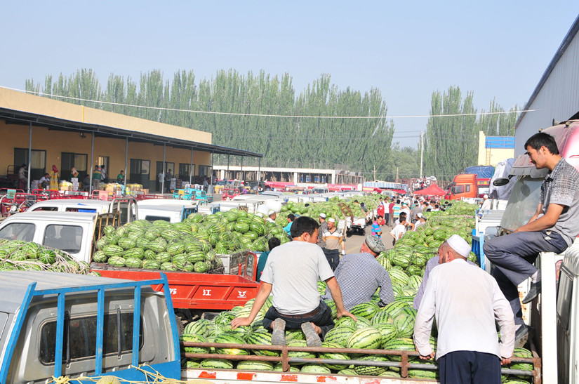 2瓜果市場_副本.jpg